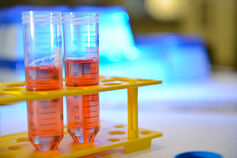 Close up of test tubes.